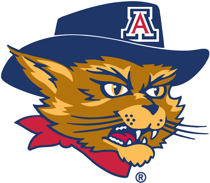 Arizona Wildcats 2003-Pres Mascot Logo v6 iron on transfers for fabric